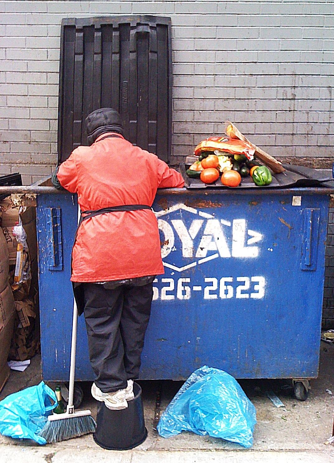 Dumpster diving aneb zachraň jídlo z popelnice: Revoluce v boji proti plýtvání